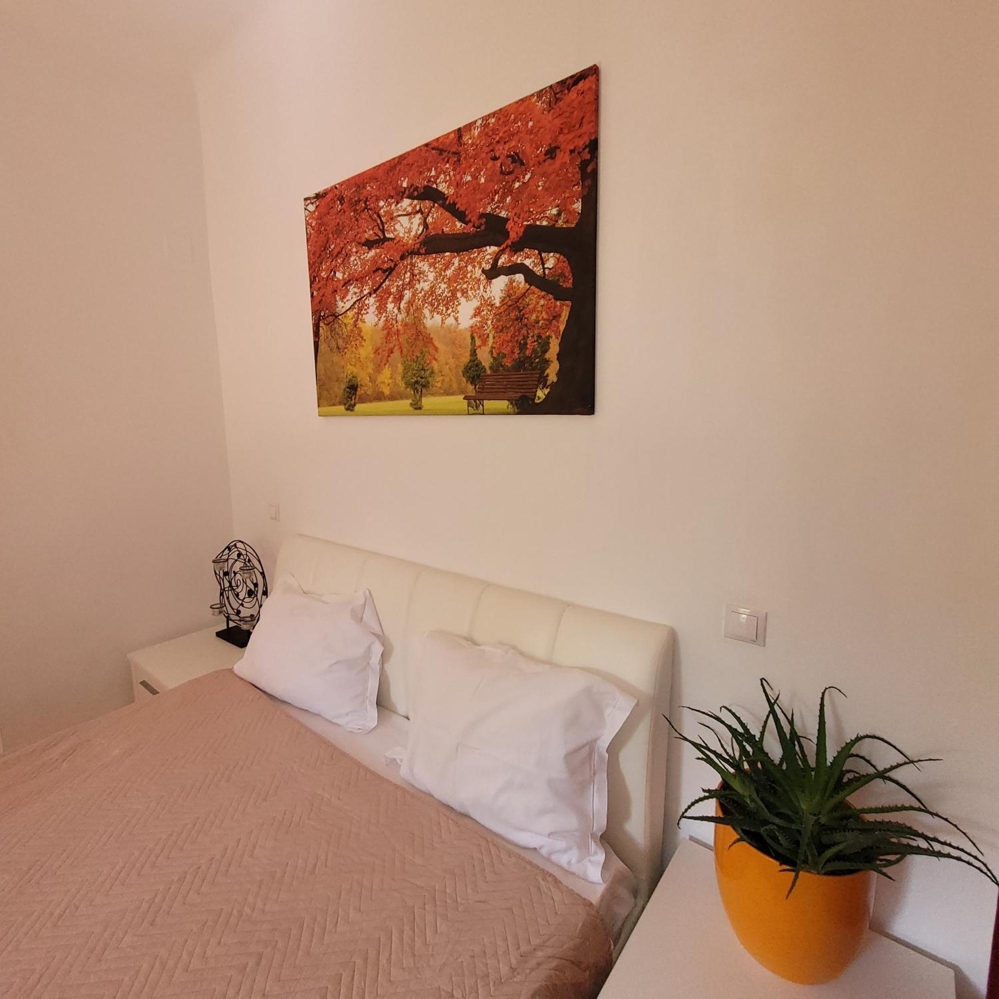 Anastasia Balcescu Apart 4 Self Check In Code From 2Pm Kitchen And Bedroom ブカレスト エクステリア 写真